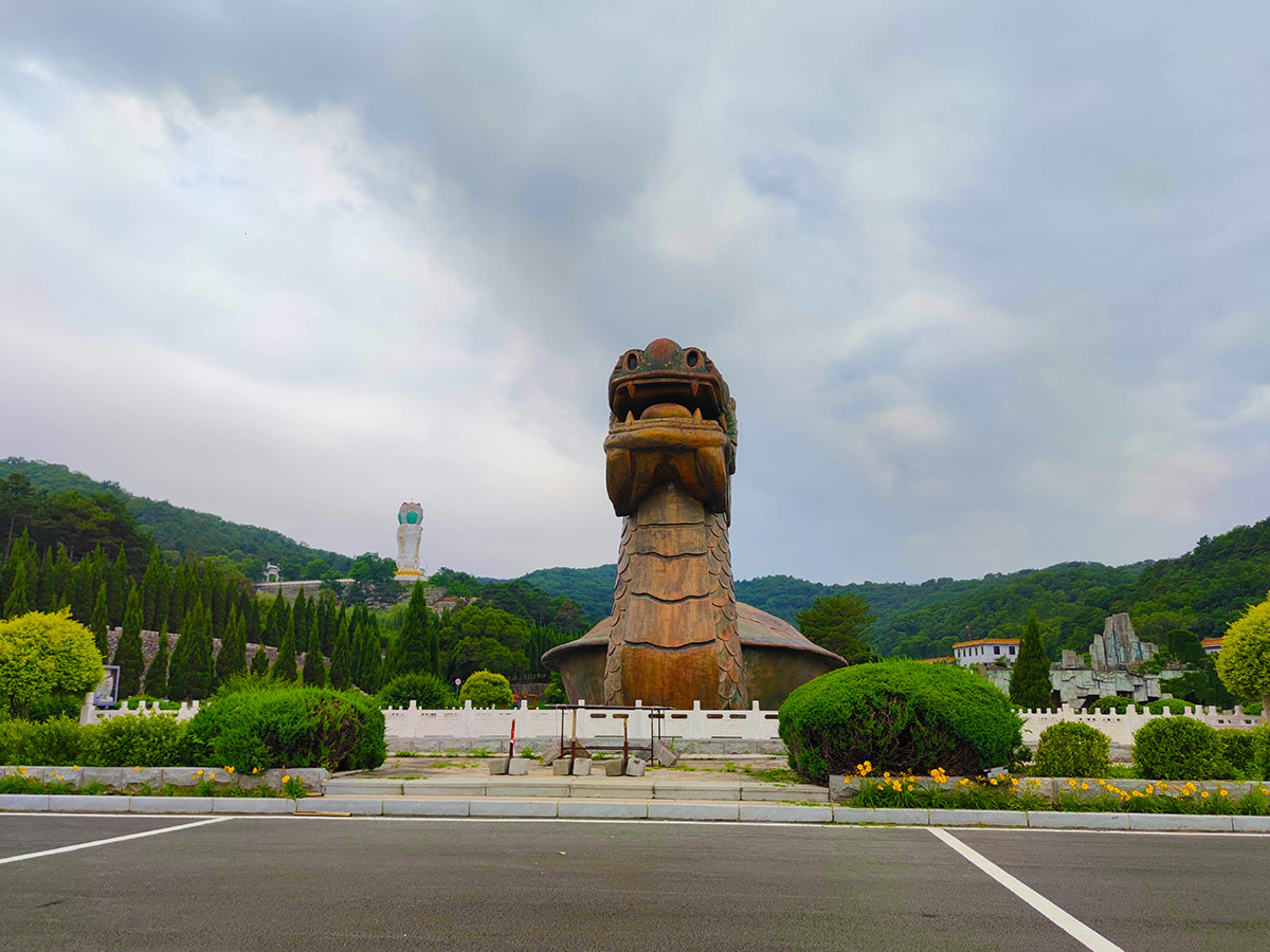 龍龜
